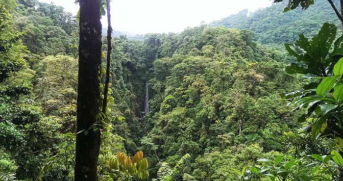 costa rica, wasserfall, vulkan arenal, canopy, nebelwald