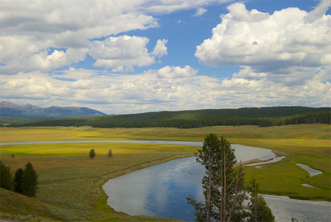 yellowstone nationalpark in den usa, wyoming, billige flüge, singlereisen