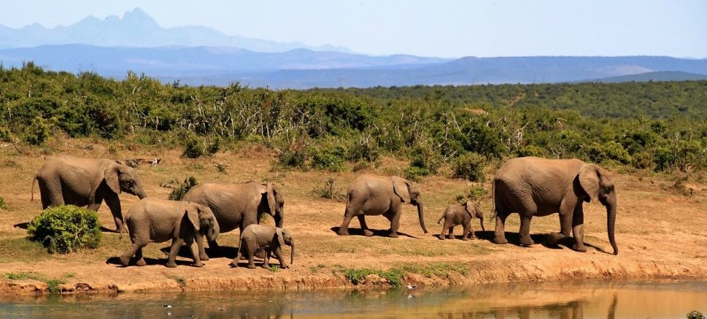 gruppenreisen, afrika, alleine reisen