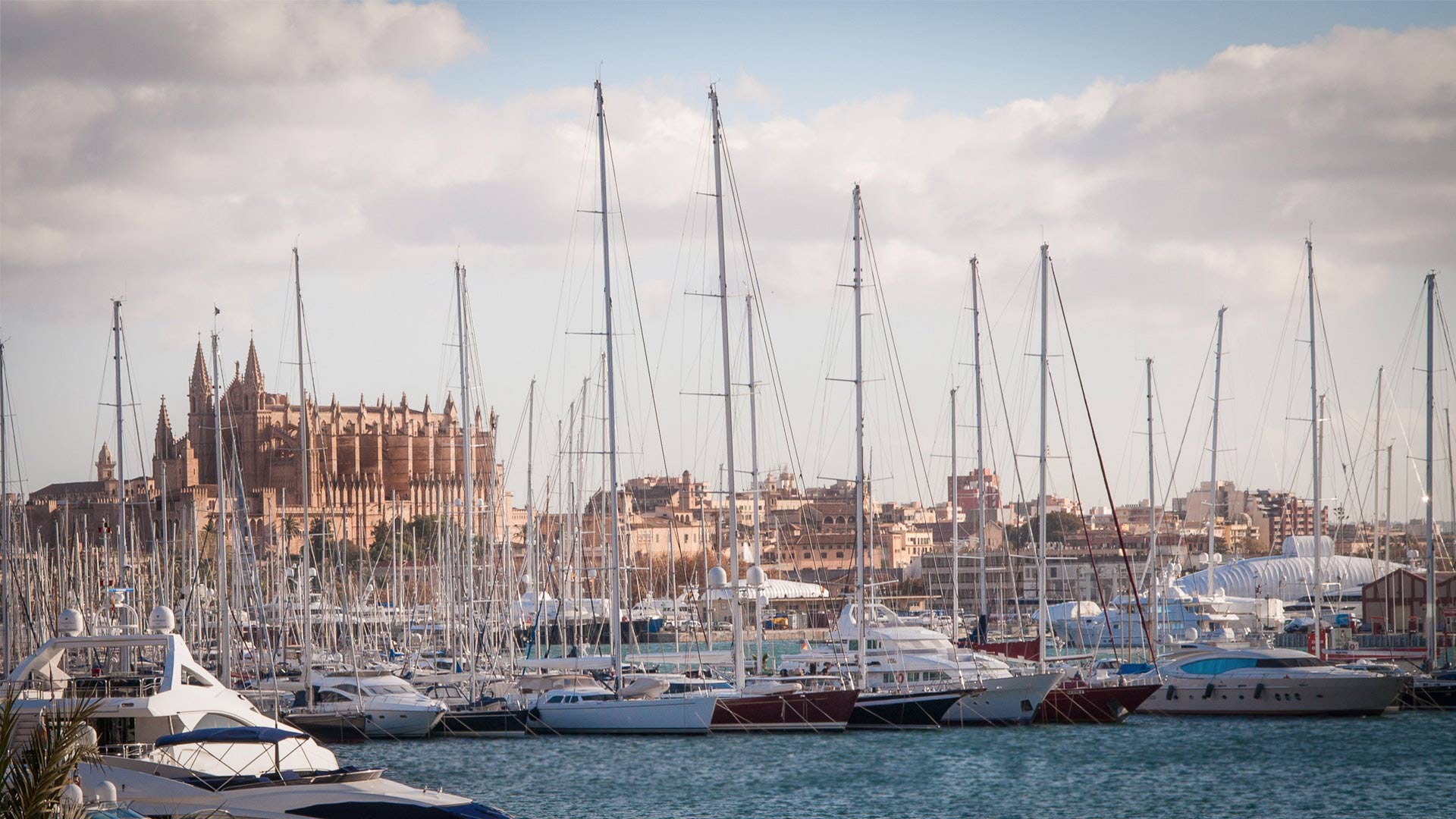 palma de mallorca, pass, sightseeing, hafenrundfahrt, kathedrale