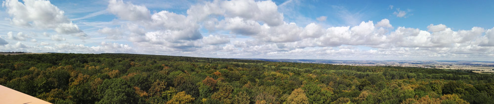 baumkronenpfad thüringen, hainich, nationalpark