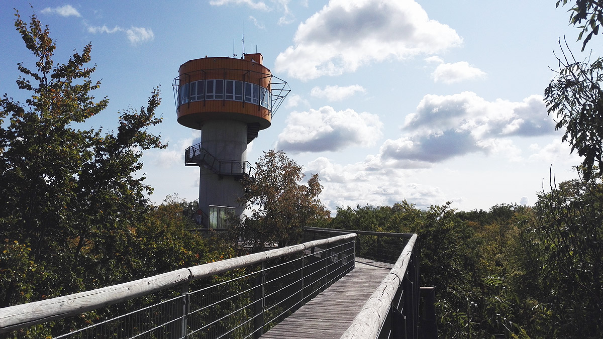 Baumkronenpfad nationalpark hainich, thüringen