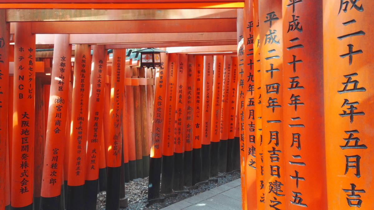 inari torii kyoto japan reise tipps